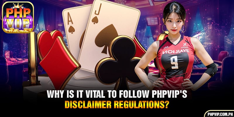 What makes it so important to adhere to PHPVIP's disclaimer regulations?